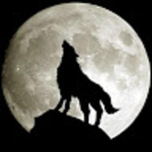 Meet your Posher, Aiden